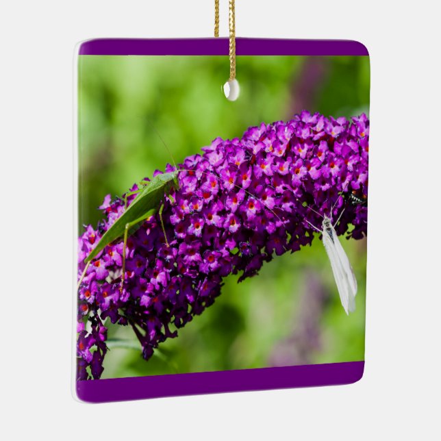 katydid Energy Keramik Keramikornament (Rechts)