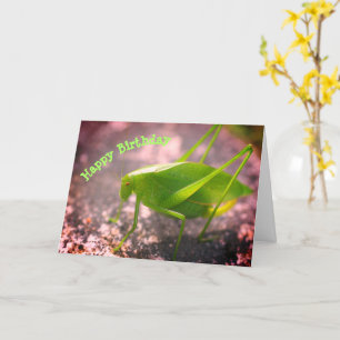 Katydid Grasshopper Nature Birthday  Karte