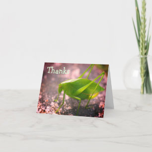 Katydid Grasshopper Nature Carte de remerciements