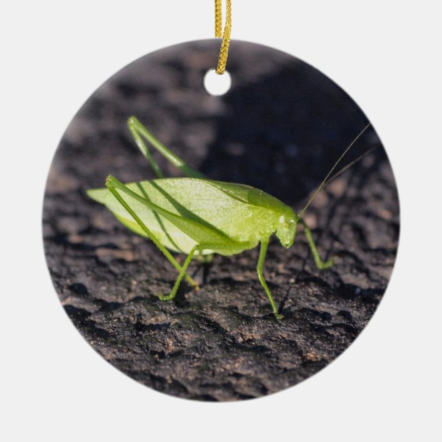Katydid Keramikornament (Vorne)