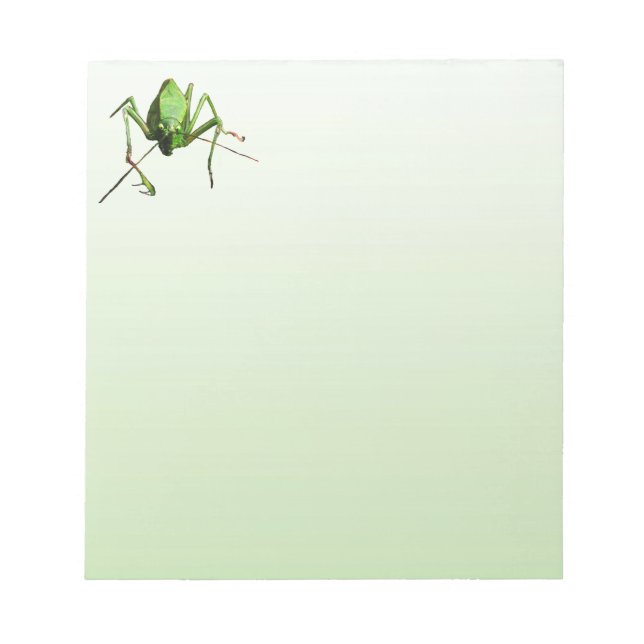 Katydid Notizblock (Vorderseite)