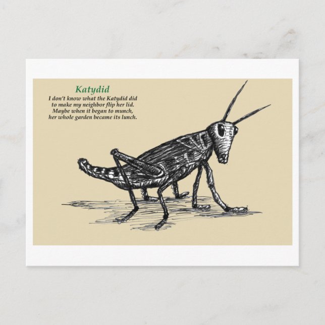 Katydid  postkarte (Vorderseite)