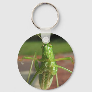 Katydid ~ Schlüsselanhänger