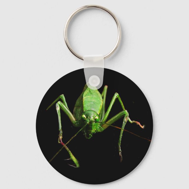 Katydid Schlüsselanhänger (Vorderseite)