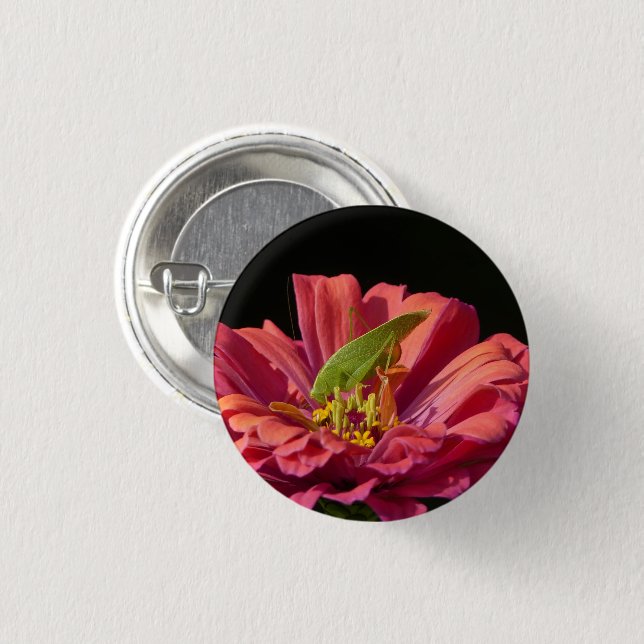 Katydid über Zinnia Button (Vorne & Hinten)