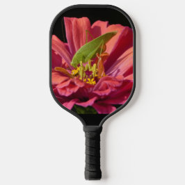 Katydid über Zinnia Pickleball Schläger