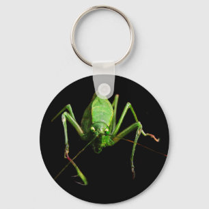 Katydo Schlüsselanhänger
