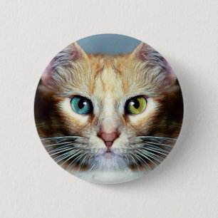 Katz Button