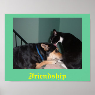 Katz- und Hundefreundschaftposter Poster