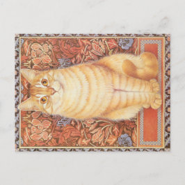 KATZBILDUNG POSTKARTE