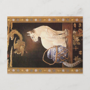 KATZBILDUNG  POSTKARTE