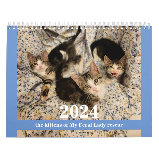 Kätzchen! 2024 Mein Kittenkalender für die Feralfr Kalender (Titelbild)