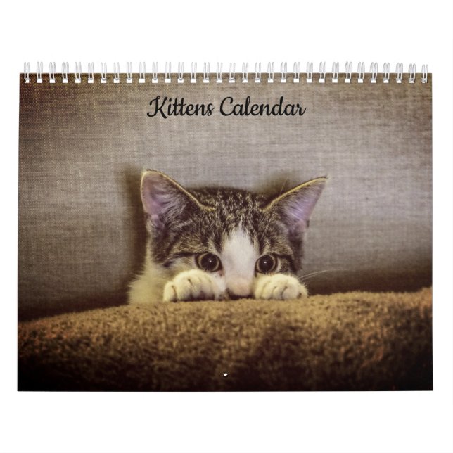 Kätzchen 2026 Kalender (Titelbild)
