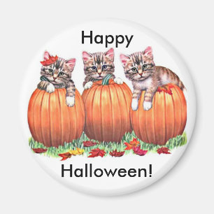 Kätzchen auf Kürbiskugeln für Halloween Button Magnet