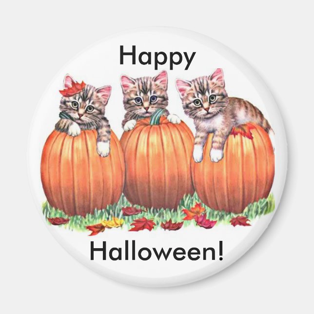 Kätzchen auf Kürbiskugeln für Halloween Button Magnet (Vorne)