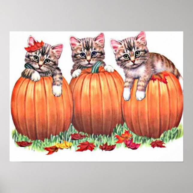 Kätzchen auf Pumpkins Print Poster (Vorne)