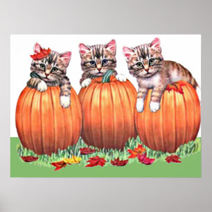 Kätzchen auf Pumpkins Print Poster