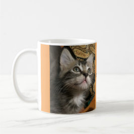 Kätzchen "behalten oben schauen!" Tasse