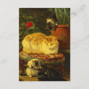 Kätzchen beim Spielen Begleitkarte