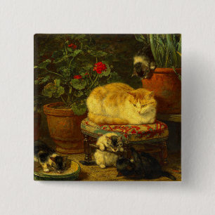 Kätzchen beim Spielen Button