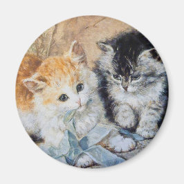 Kätzchen beim Spielen Magnet