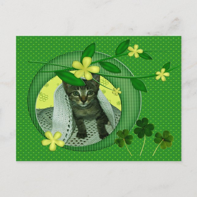 Kätzchen, Blume, Kleeblätter & grüne Polka-Punkte Postkarte (Vorderseite)