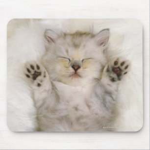 Kätzchen, das auf einem weißen flaumigen Teppich, Mousepad