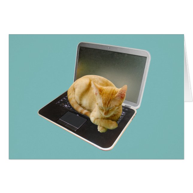 Kätzchen, das auf Laptop schläft (Vorderseite (Horizontal))