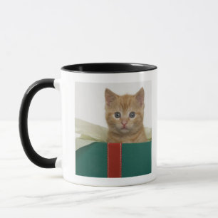 Kätzchen, das aus Geschenkboxen heraus späht Tasse