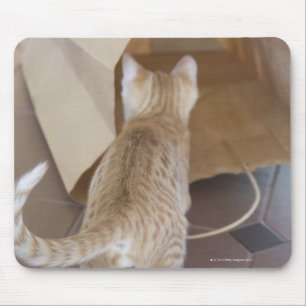 Kätzchen, das den Abgrund einer Tasche untersucht Mousepad