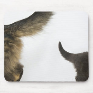 Kätzchen, das oben dem Schwanz seiner Mutter Mousepad