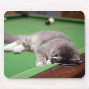 Kätzchen, das Pool spielt Mousepad