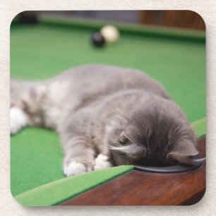 Kätzchen, das Pool spielt Untersetzer