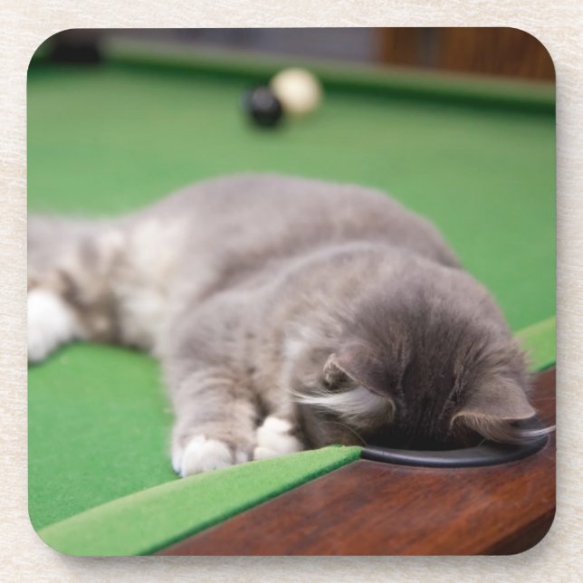 Kätzchen, das Pool spielt Untersetzer (Vorderseite)