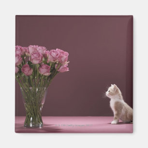 Kätzchen, das Vase Rosen betrachtet Magnet