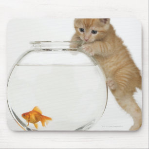 Kätzchen, das versucht, an einem Goldfisch zu Mousepad