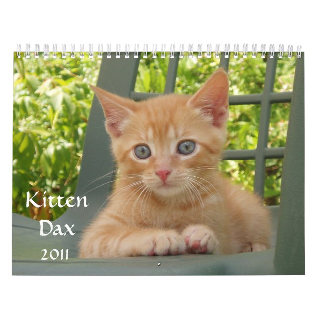 Kätzchen Dax 2011 Kalender (Titelbild)