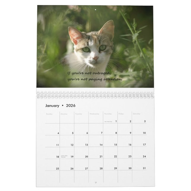 Kätzchen der Gewissenhaftigkeit Kalender (Jan 2026)