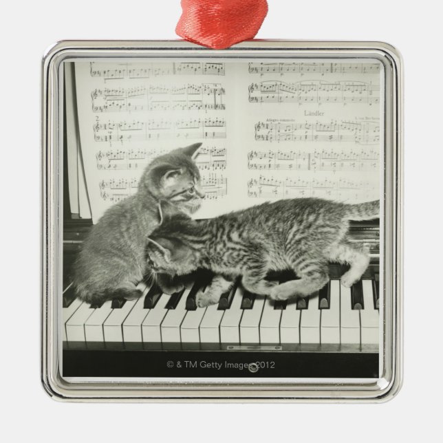Kätzchen, die das Klavier spielen Silbernes Ornament (Vorne)