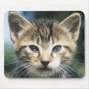 Kätzchen draußen mousepad