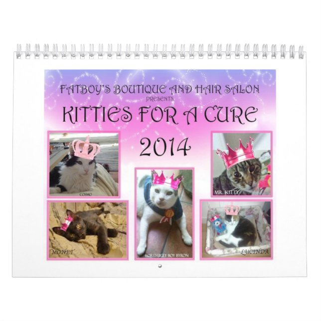 KÄTZCHEN FÜR EINEN HEILUNGS-KALENDER 2 2014 KALENDER (Titelbild)
