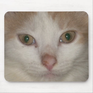 Kätzchen Gesicht 1 Mousepad