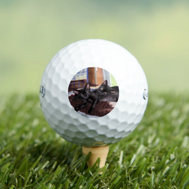 Kätzchen Golfball (Insitu T-Shirt)