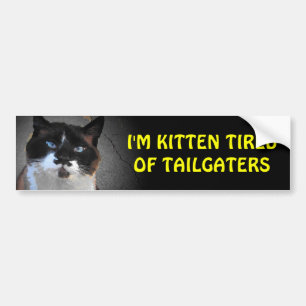 Kätzchen hat genug von Dränglern Katze duldet es n Autoaufkleber