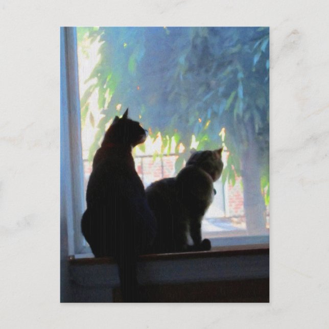 Kätzchen im Fensterrahmen Postkarte (Vorderseite)