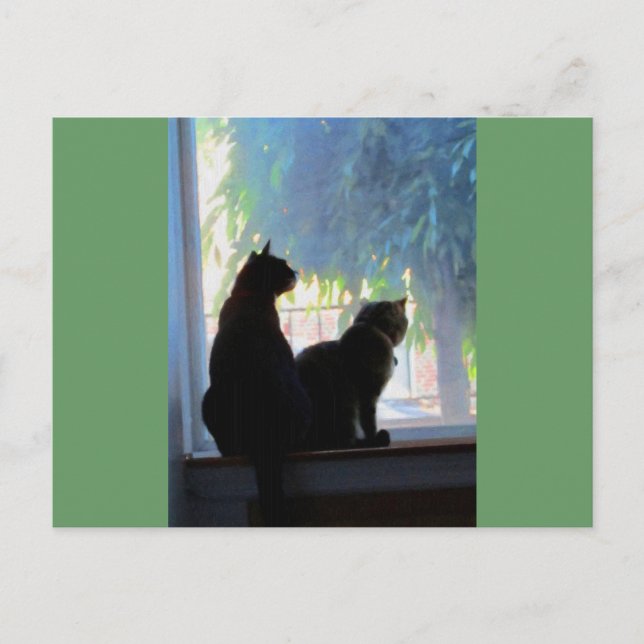 Kätzchen im Fensterrahmen Postkarte (Vorderseite)