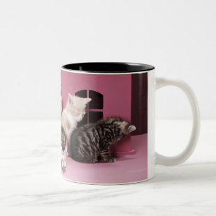 Kätzchen im Haus der Puppe Zweifarbige Tasse