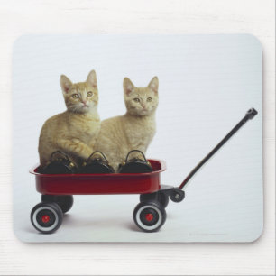 Kätzchen im Lastwagen Mousepad