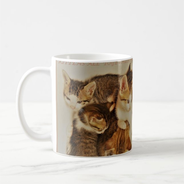 Kätzchen im Originalfoto Kaffeetasse (Links)