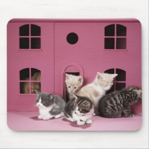 Kätzchen im Puppenhaus Mousepad